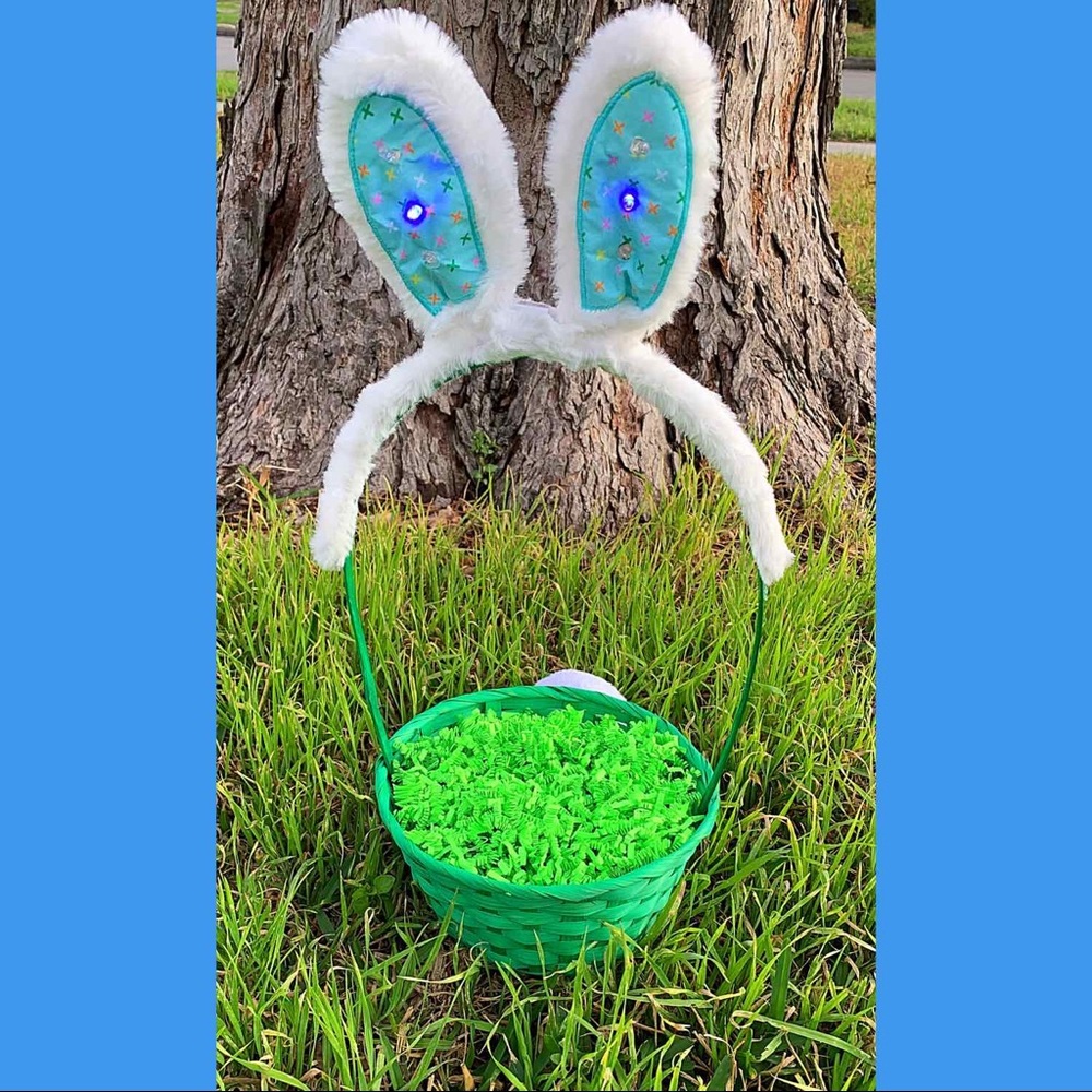 🐰🐣Light-up custom Easter basket 🐣🐰